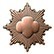 Girl Scout Bronze Award Girl Scout Bronze Award