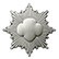 Girl Scout Silver Award Girl Scout Silver Award