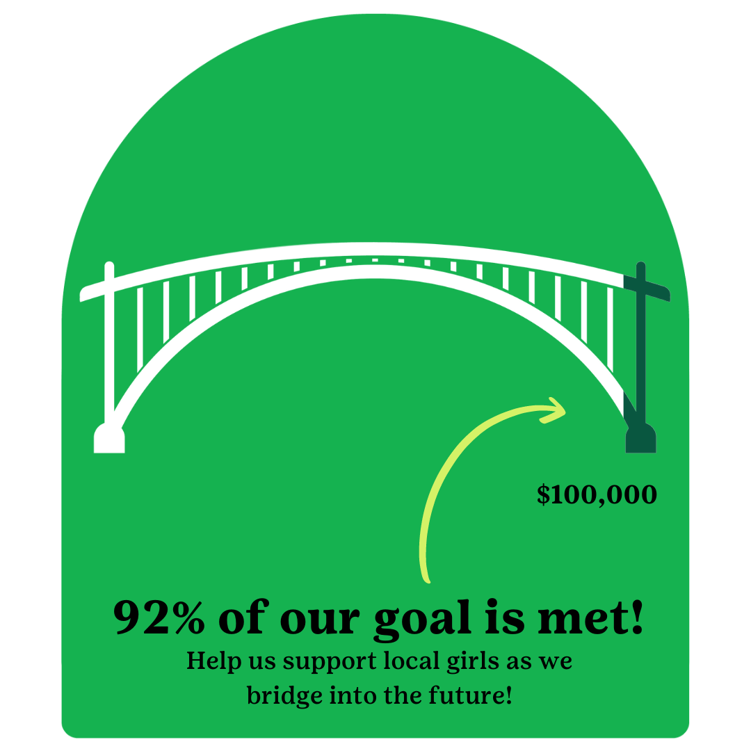 Bridging to the Future Donation Meter-11-8-22