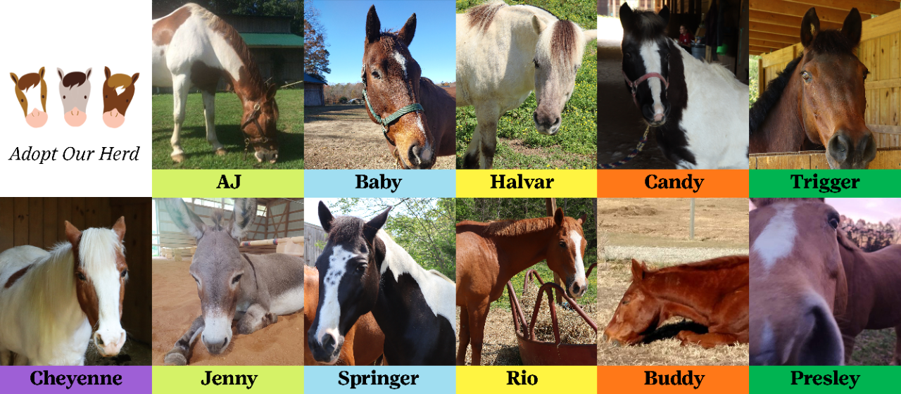 website-hero-adoptourherd website-hero-adoptourherd