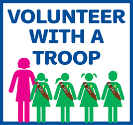 find ways to volunteer with a troop