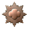 bronze_pin