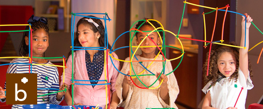 Girl Scout Brownies Girl Scout Brownies