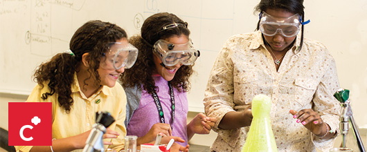 Girl Scout Cadettes Girl Scout Cadettes
