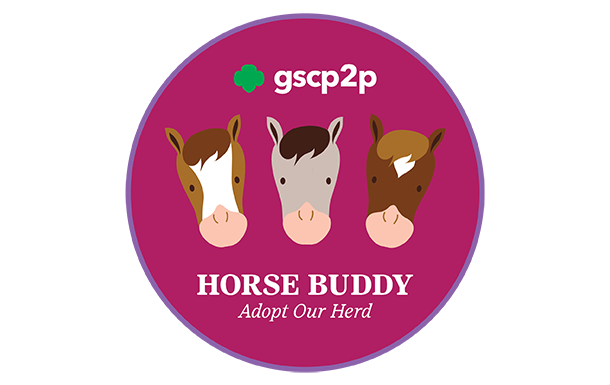 horse buddy patch