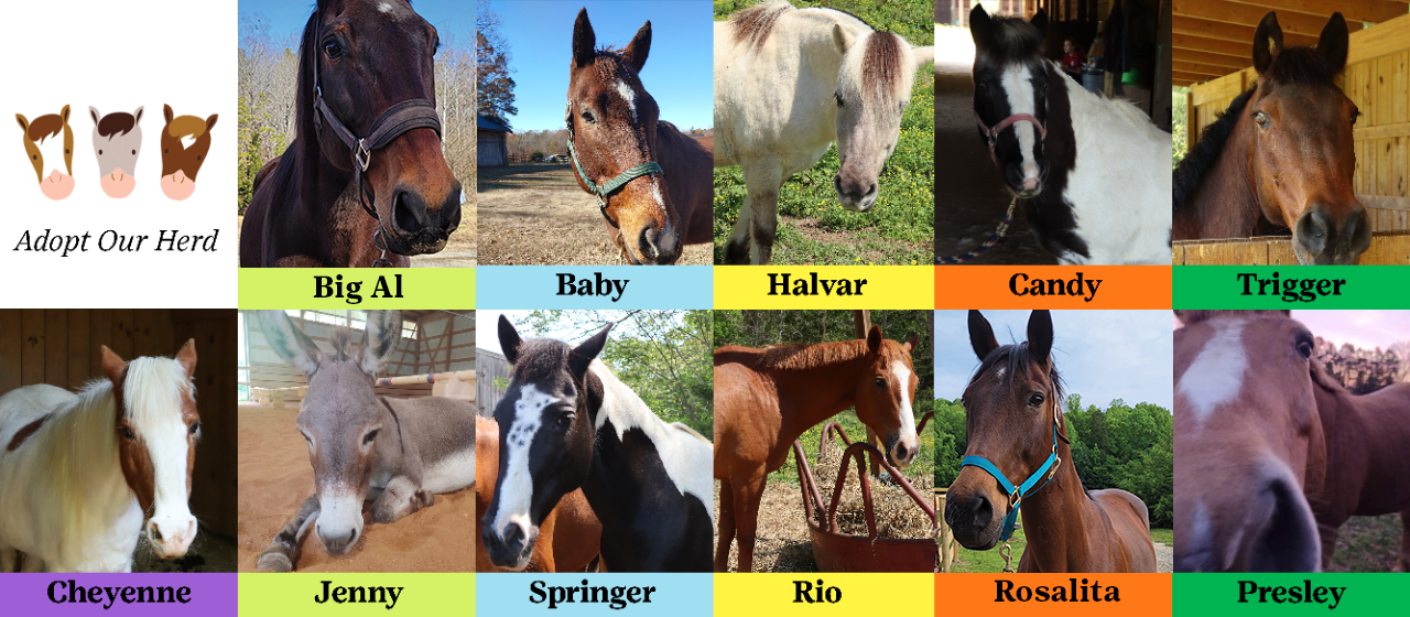 adopt our herd logo with photos of horses at circle c equestrian center